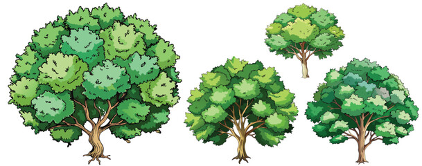 watercolor green tree vector isolated on white background for landscape and architecture drawing,elements for environment or and garden,Shrub vector illustration
