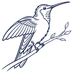 Fototapeta premium Hand Drawn Doodle Style Animals, Birds, and Fish Vectors