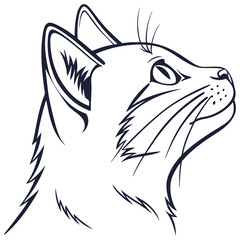 Hand Drawn Doodle Style Animals, Birds, and Fish Vectors