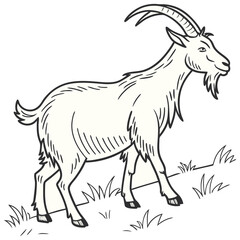 Hand Drawn Doodle Style Animals, Birds, and Fish Vectors