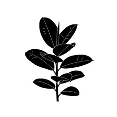 Elegant Rubber Plant Silhouette: A striking black and white silhouette of a rubber plant with lush leaves, showcasing the simple beauty of botanical design.