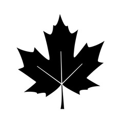 Silhouette of a Majestic Maple Leaf: An artistic, stark black and white silhouette captures the iconic shape of a maple leaf, a symbol of natural beauty and simplicity.