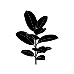Botanical Elegance: A striking black and white silhouette captures the graceful lines of a lush plant, its leaves reaching skyward in a display of natural elegance.