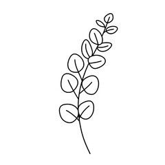 Eucalyptus Branch Minimalist Drawing: A minimalist pen drawing of an eucalyptus branch with round leaves showcases the organic beauty of botanical form.