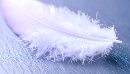 Elegant Gold Watch on Textured Slate with Warm Light Reflections