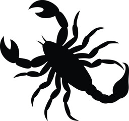 Black Scorpion Silhouette on White Background