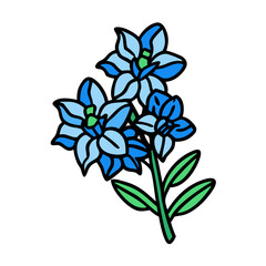 Illustration of blue flower floral botanical vector drawing nature plant blossom bloom garden art
