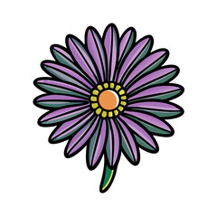 Fototapeta premium Beautiful purple flower blossom bloom floral plant botanical nature garden petal design art drawing