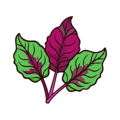 Obraz premium Illustration of colorful swiss chard leaves, healthy food, organic vegetable, leafy greens, 90 char