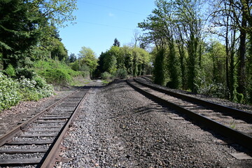 Fototapeta premium railway in the forest