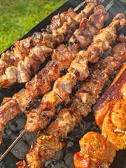 Appetizing view of meat skewers (kebabs) sizzling on a barbecue grill. Perfectly grilled, golden-brown pieces of marinated meat with a visible char and smoky aroma. Ideal stock photo for food blogs, r