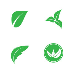 leaf nature icon vector illustration template design
