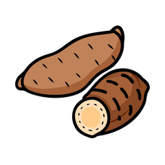Illustration of fresh yams sweet potato vector drawing healthy food root vegetable nutrition diet yam