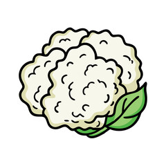 Illustration of fresh cauliflower vegetable with green leaf for healthy food concept art
