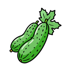 Fresh green cucumbers with leaf vector illustration healthy eating vegetable garden harvest food design