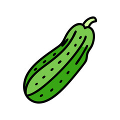 Isolated green cucumber vegetable drawing vector illustration fresh healthy eating ingredient for salads