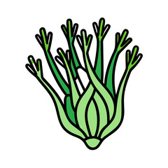 Illustration of fresh fennel plant with green stalks and fronds for cooking and recipes use
