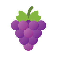 Cartoon purple grapes with green leaves vector illustration on white background