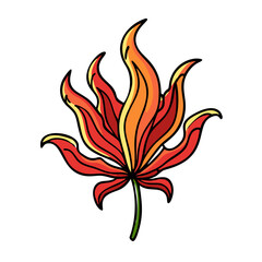 Flame lily flower illustration vector design with tropical plant and fire lily element art
