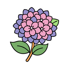 Drawing of purple and pink hydrangea flower illustration with green leaves and stem design art vector