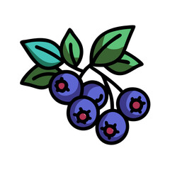 Illustration of blueberry blueberries berry berries bunch fruit food healthy fresh sweet plant nature