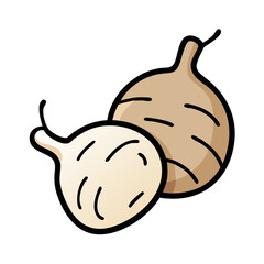 Illustration of fresh jicama root vegetable for healthy eating and vegan lifestyle concept