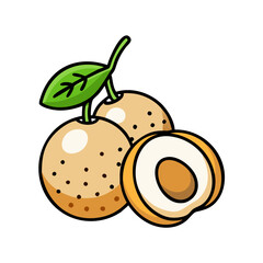 Illustration of asian pears fruits with leaf and sliced fruit fresh healthy food nutrition diet 90