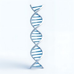 DNA Structure, White and Blue Double Helix, Science Model, Molecular Biology Concept