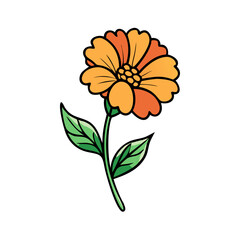 Illustration of orange flower, floral design, botanical art, flower drawing, flower vector art, nature art