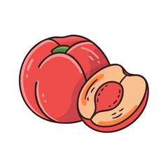 Illustration of fresh peach fruit with slice, summer fruit, healthy food, peach drawing design