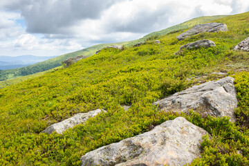 beautiful scenery of Carpathians in dappled light. adventure season. wonderful summer landscape in mountains on a cloudy day. scenic view from the slope of hill. mountain smooth known as runa, ukraine