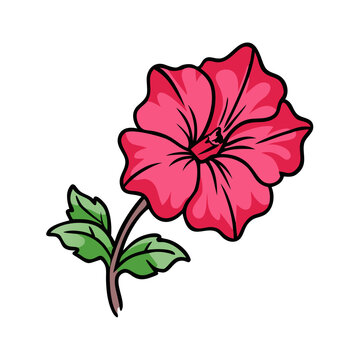 recommend clip art: Illustration of a pink petunia flower blossom bloom with green leaves floral design botanical art