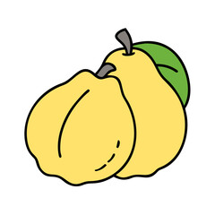 Illustration of two yellow quince fruits with green leaf still life quince fruit drawing