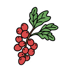 Illustration of red berries branch with green leaves botanical drawing berry plant foliage art design element