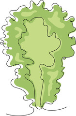 Green Salad Leave illustration. Png. Health food. Line art health food. 