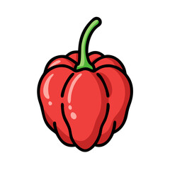 Illustration of red scotch bonnet pepper spicy chili pepper for cooking and food design needs