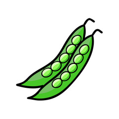 Isolated fresh green peas in a pod vector illustration for healthy eating and cooking ideas