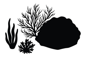 Black silhouettes of seaweed and coral reef elements on white background