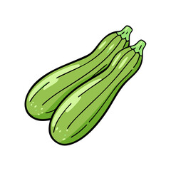 Fresh green zucchini vegetables illustration for healthy eating and cooking recipes concept art