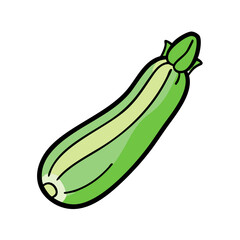 Isolated fresh green zucchini vegetable illustration for healthy eating and cooking needs