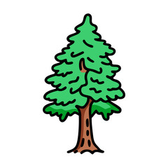 Isolated green pine tree illustration for forestry nature and christmas design element use