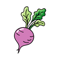 Isolated cartoon radish vegetable vector illustration for healthy eating and cooking designs