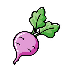 Find cute radish vegetable illustration vector image for healthy eating and cooking projects now