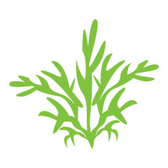 seaweed logo and vector template