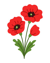 Fototapeta premium A red poppy flower with green leaves