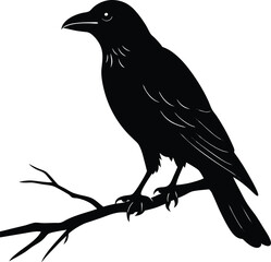 Obraz premium single crow perched on branch