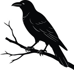single crow perched on branch