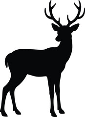 Fototapeta premium single deer with antlers silhouette