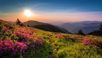 a beautiful and colorful spring morning on grassy ridge in the roan highlands on the border of tennessee and north carolina along the appalachian trail