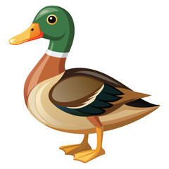Duck Vector 